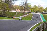 anglesey;brands-hatch;cadwell-park;croft;donington-park;enduro-digital-images;event-digital-images;eventdigitalimages;mallory;no-limits;oulton-park;peter-wileman-photography;racing-digital-images;silverstone;snetterton;trackday-digital-images;trackday-photos;vmcc-banbury-run;welsh-2-day-enduro